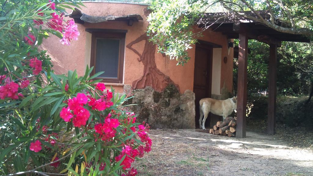 Apartamentos Rurales Ecopangea Valverde de la Vera Eksteriør bilde