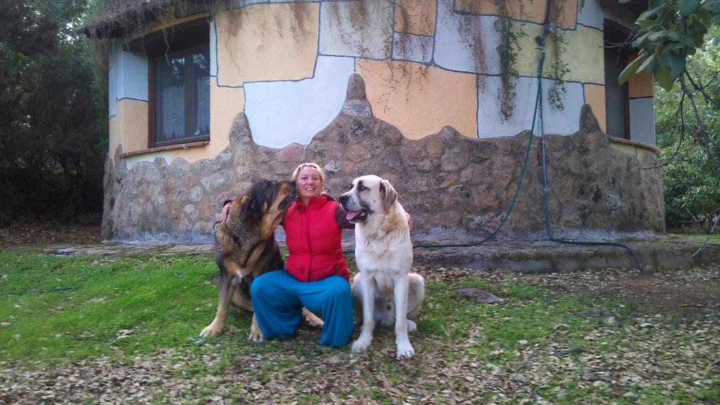 Apartamentos Rurales Ecopangea Valverde de la Vera Eksteriør bilde