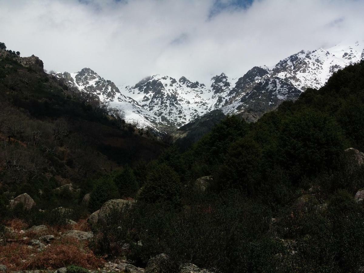 Apartamentos Rurales Ecopangea Valverde de la Vera Eksteriør bilde