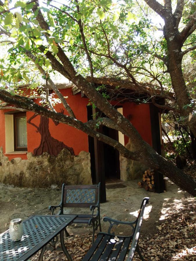 Apartamentos Rurales Ecopangea Valverde de la Vera Eksteriør bilde