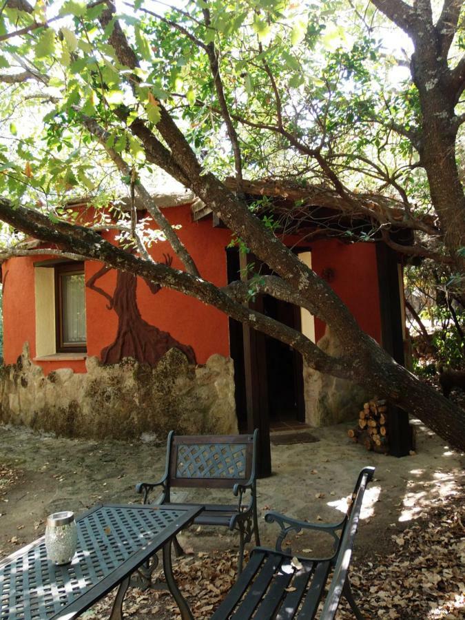 Apartamentos Rurales Ecopangea Valverde de la Vera Eksteriør bilde