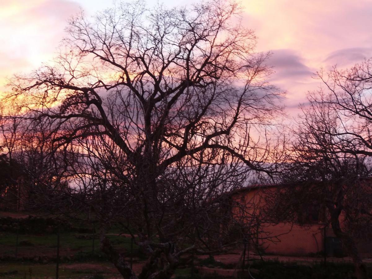 Apartamentos Rurales Ecopangea Valverde de la Vera Eksteriør bilde